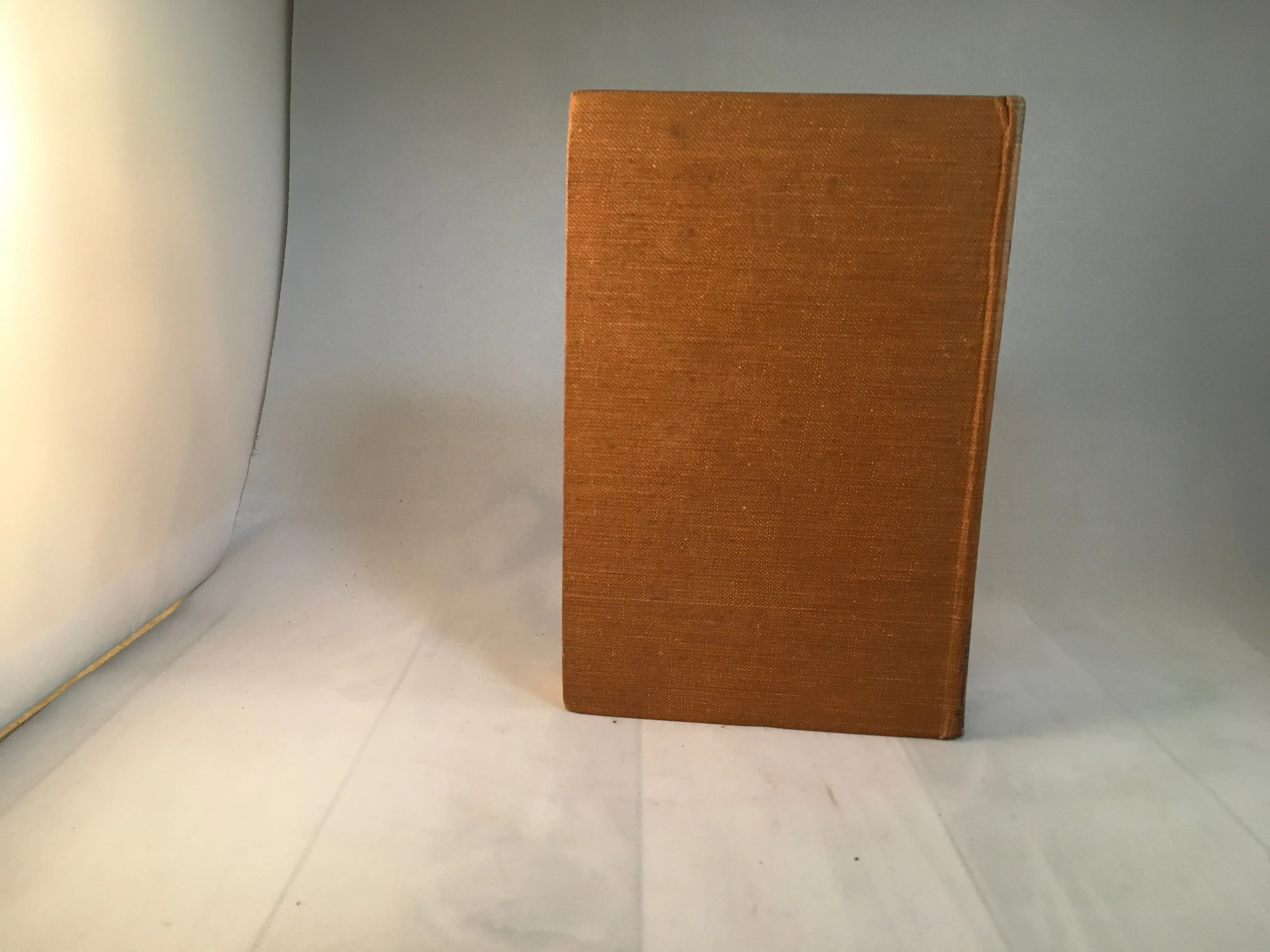 Algernon Blackwood - The Bright Messenger, Cassell and Company London 1921, 1st Edition