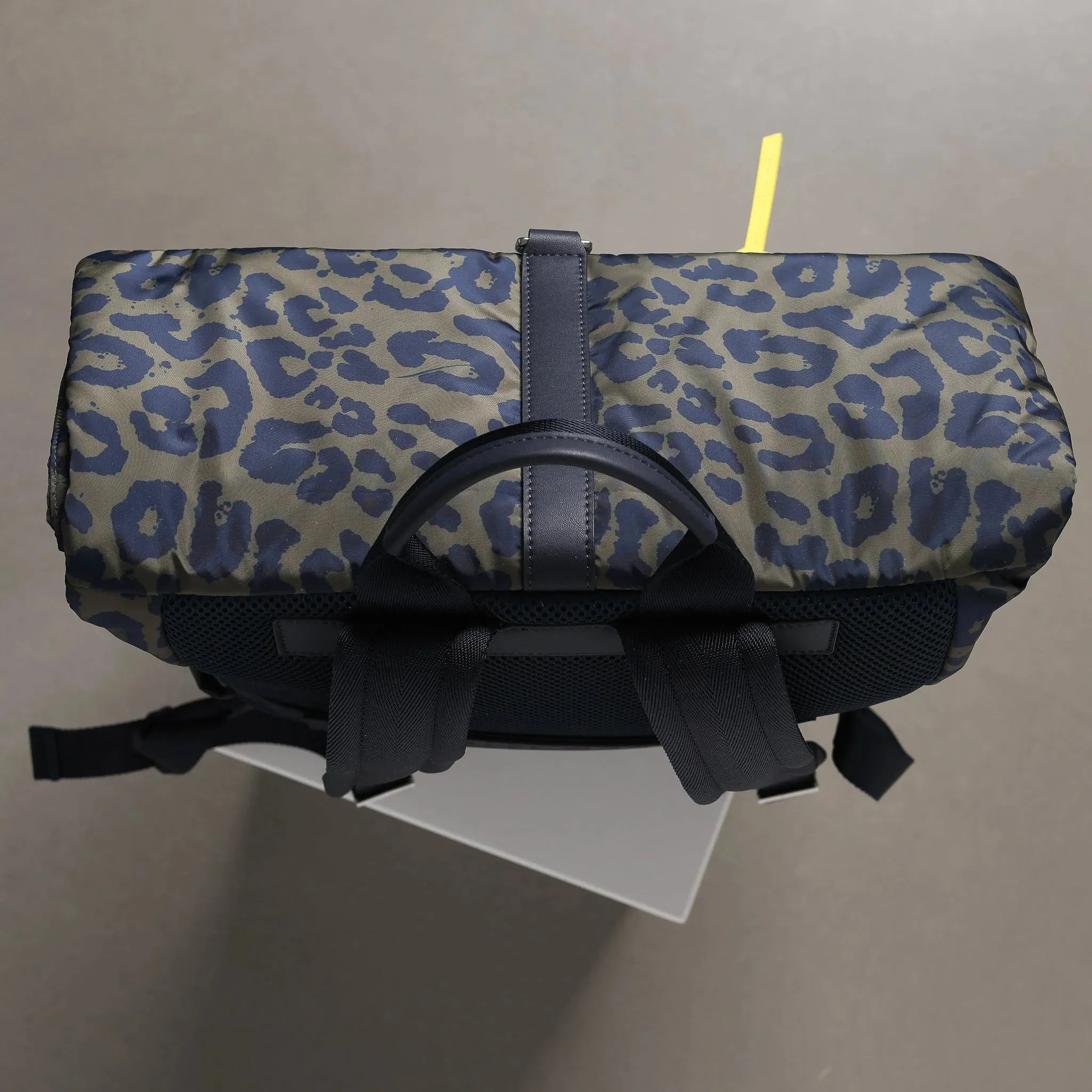 Backpack Padded "Leo splashes"
