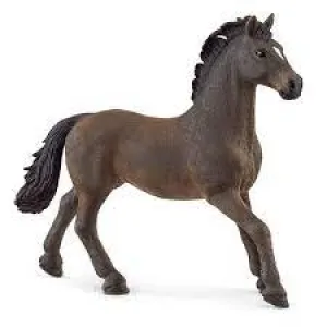 BG13946 Oldenburger Stallion