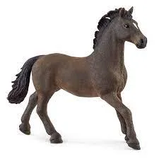 BG13946 Oldenburger Stallion