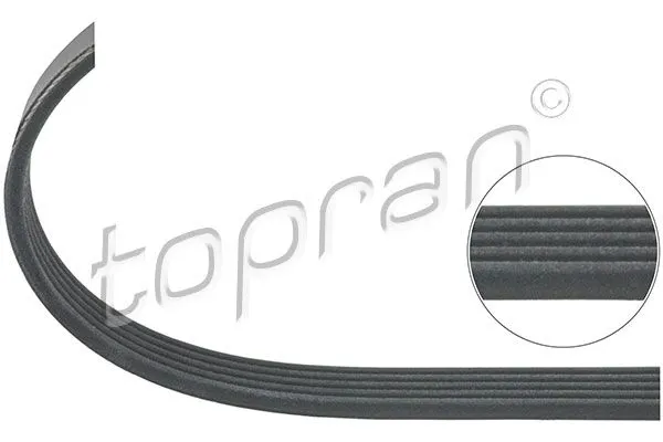BMW Ribbed V-Belt 5PK980 Climate Compressor E34 E39 E32 E38 E31 M60 11281736988