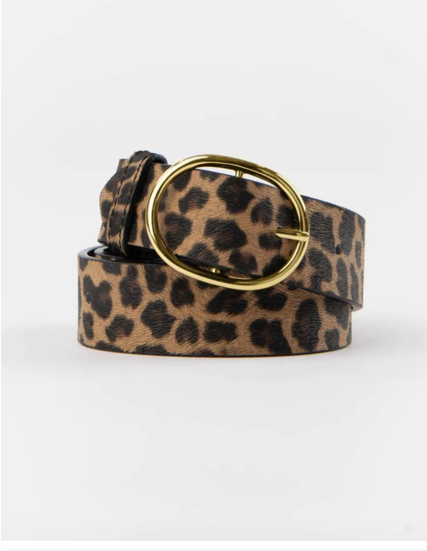 BOH BELT  1