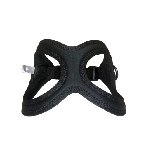 Buddy Belt Sport — New Moon