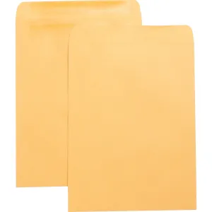 Business Source Press-To-Seal Catalog Envelopes