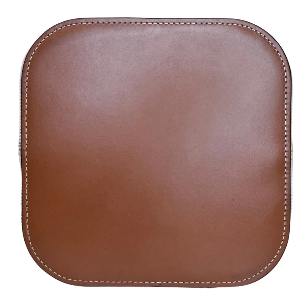 Celine Box Canvas Triomphe