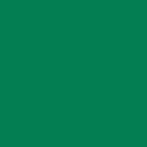 Designer Solids Fern