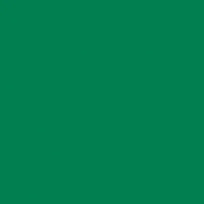Designer Solids Fern