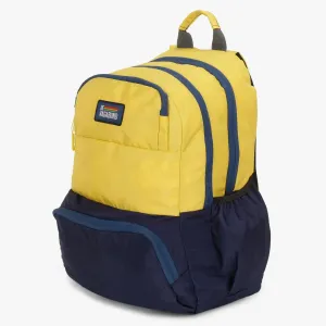 Dv Pro 2.21 Yellow