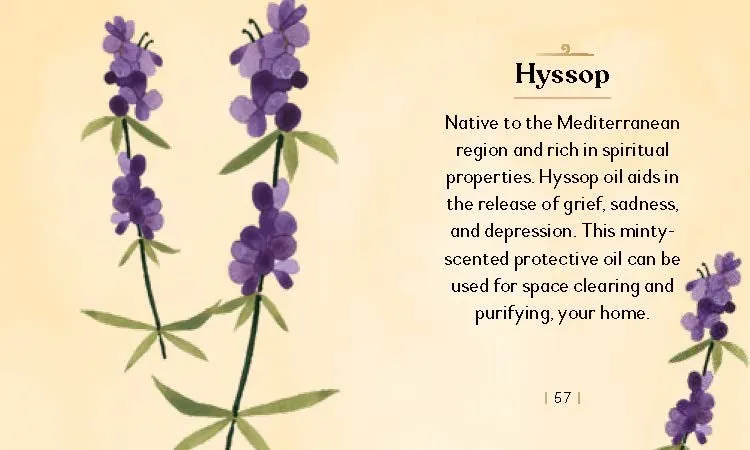 Essential Oils Mini Book