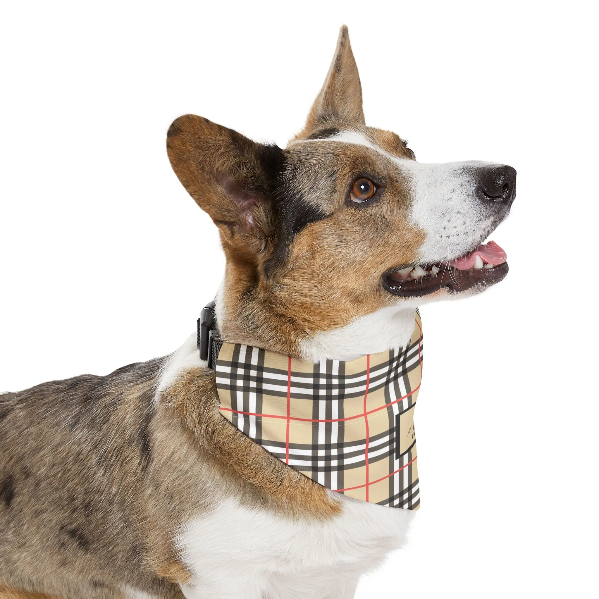 Furberry Faux-Designer Pet Bandana Collar