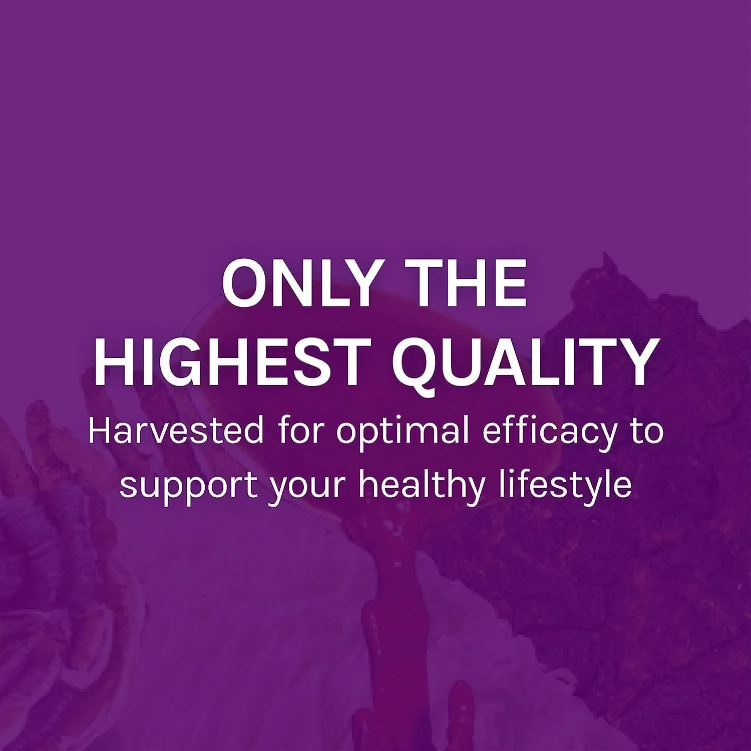 Host Defense MyCommunity Extract - 17 Species Blend Mushroom Supplement for Immune Support - Extract with Lion's Mane, Reishi, Chaga, Cordyceps, Turkey Tail & More - 1 fl oz (30 Servings)*