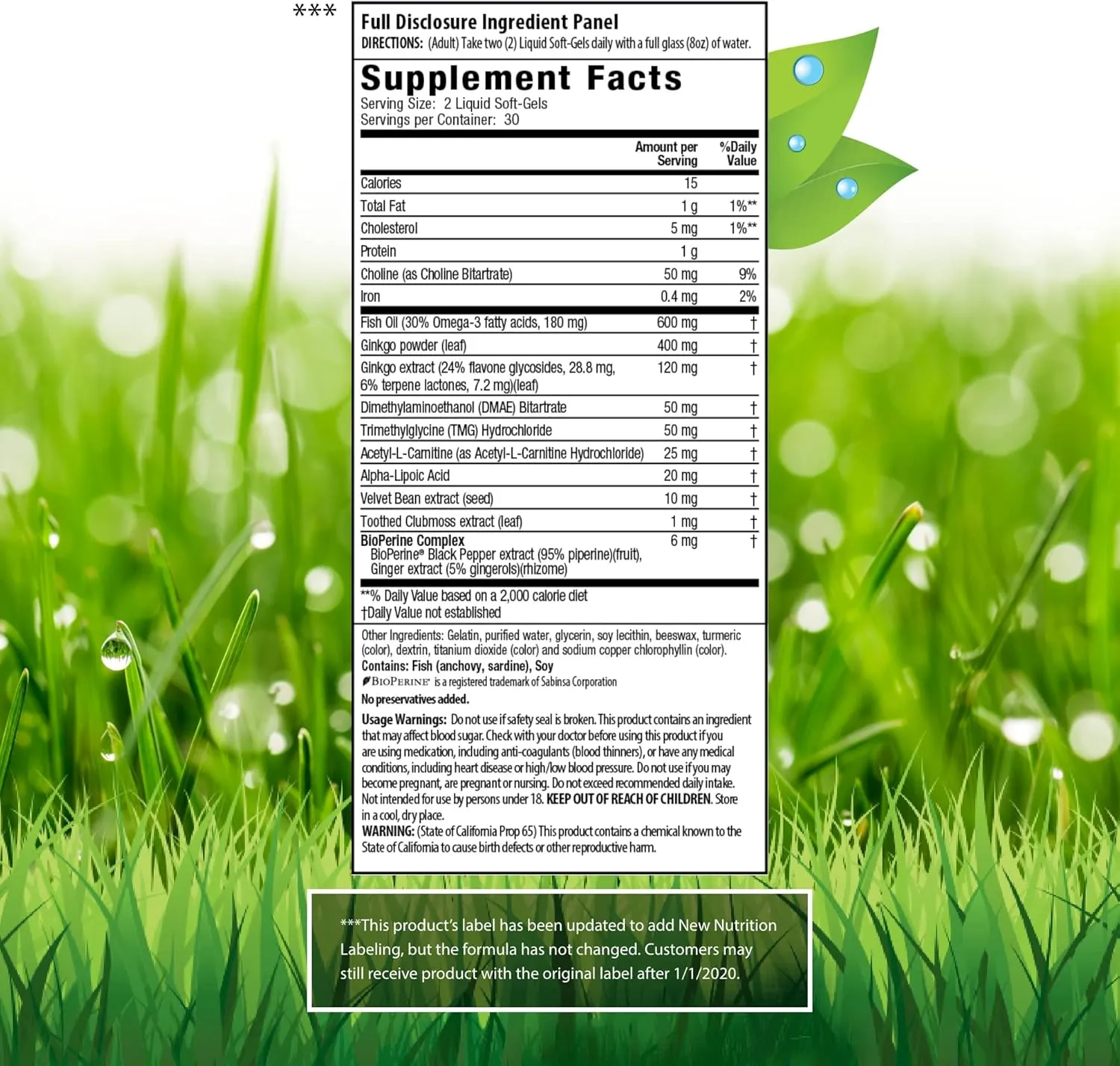 Irwin Naturals Ginkgo Smart Maximum Focus & Memory Dietary Supplement Liquid Gel Caps, 60-Count Bottles