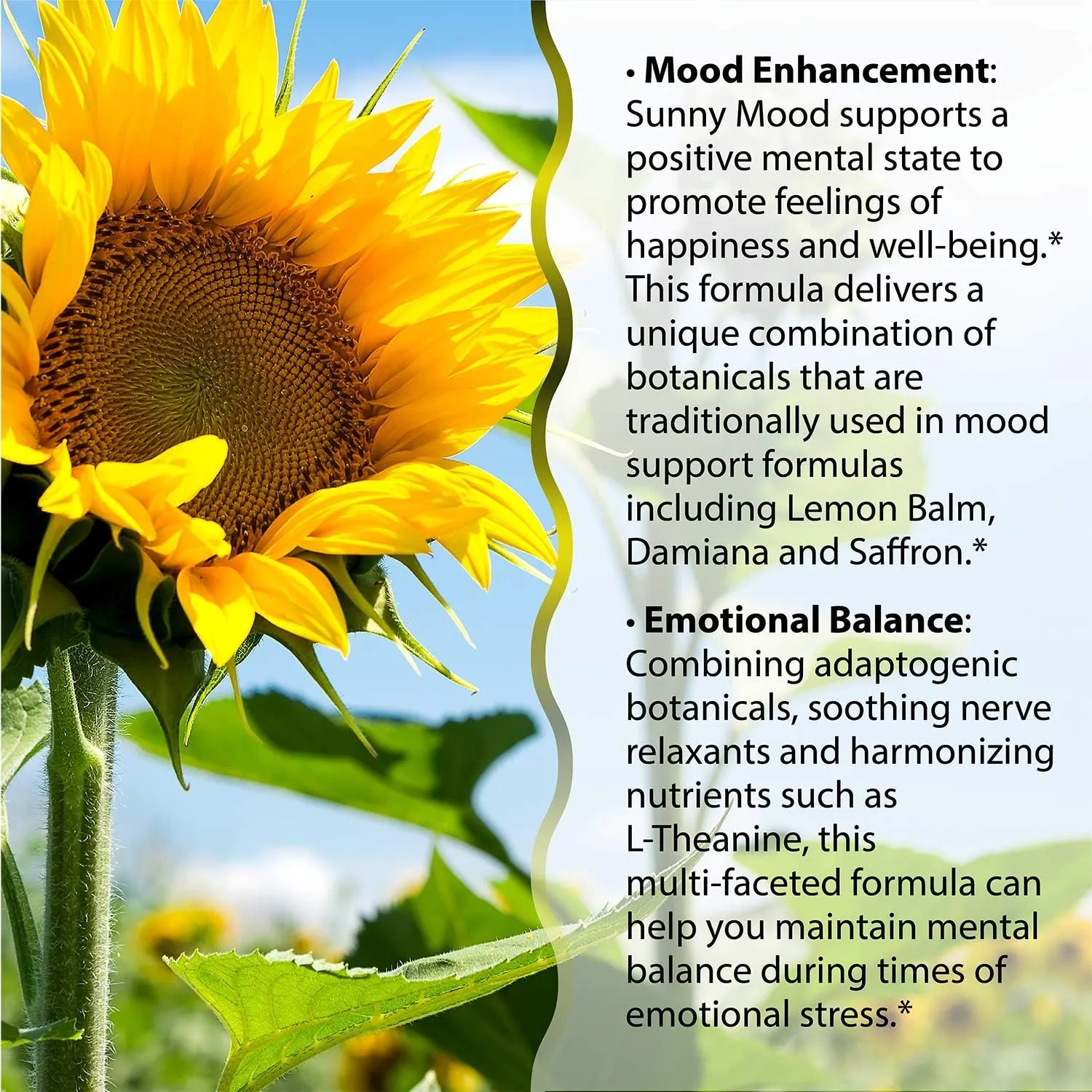 Irwin Naturals Sunny Mood Dietary Supplement Liquid Softgels - 75ct