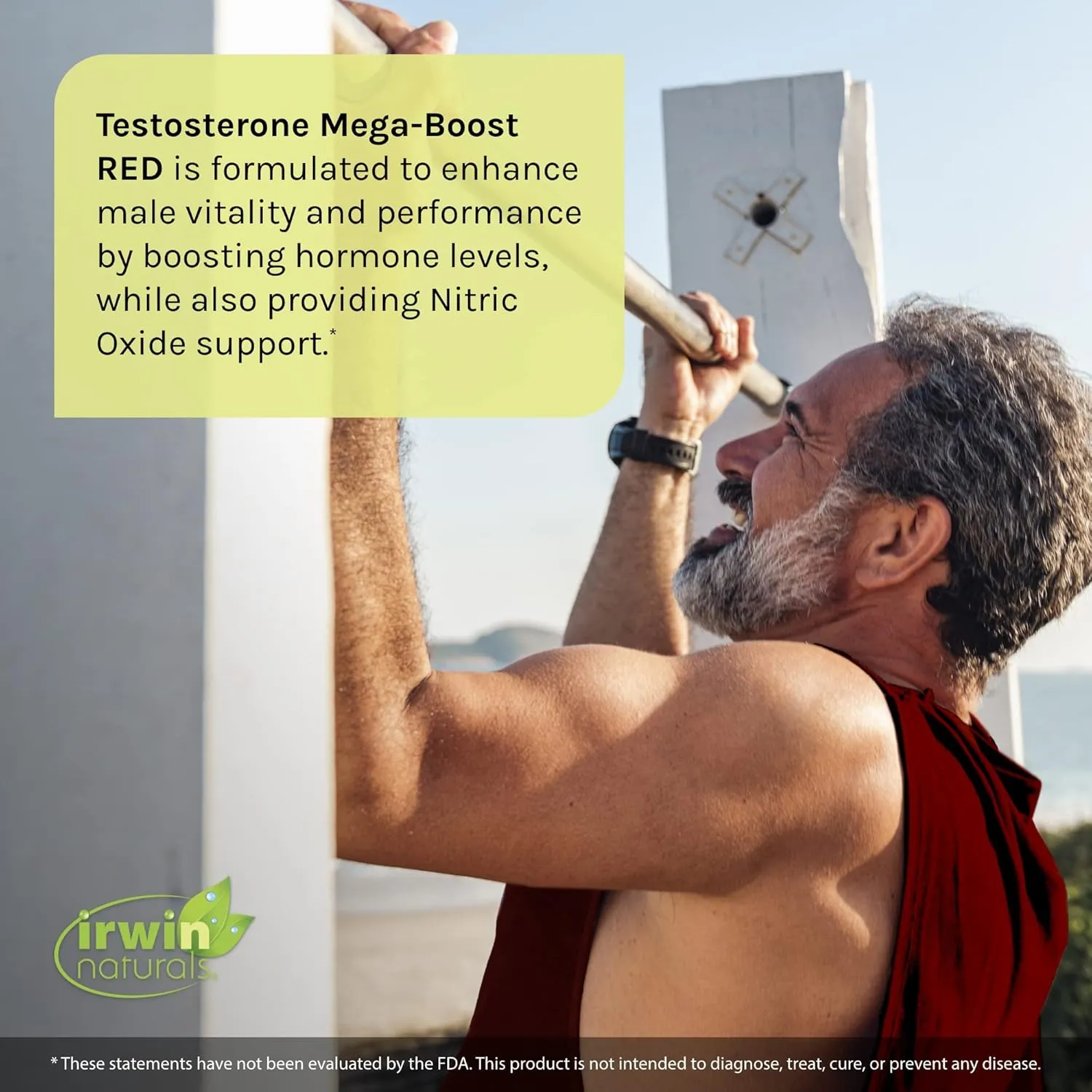 Irwin Naturals Testosterone Mega Boost Red 68 Sgels