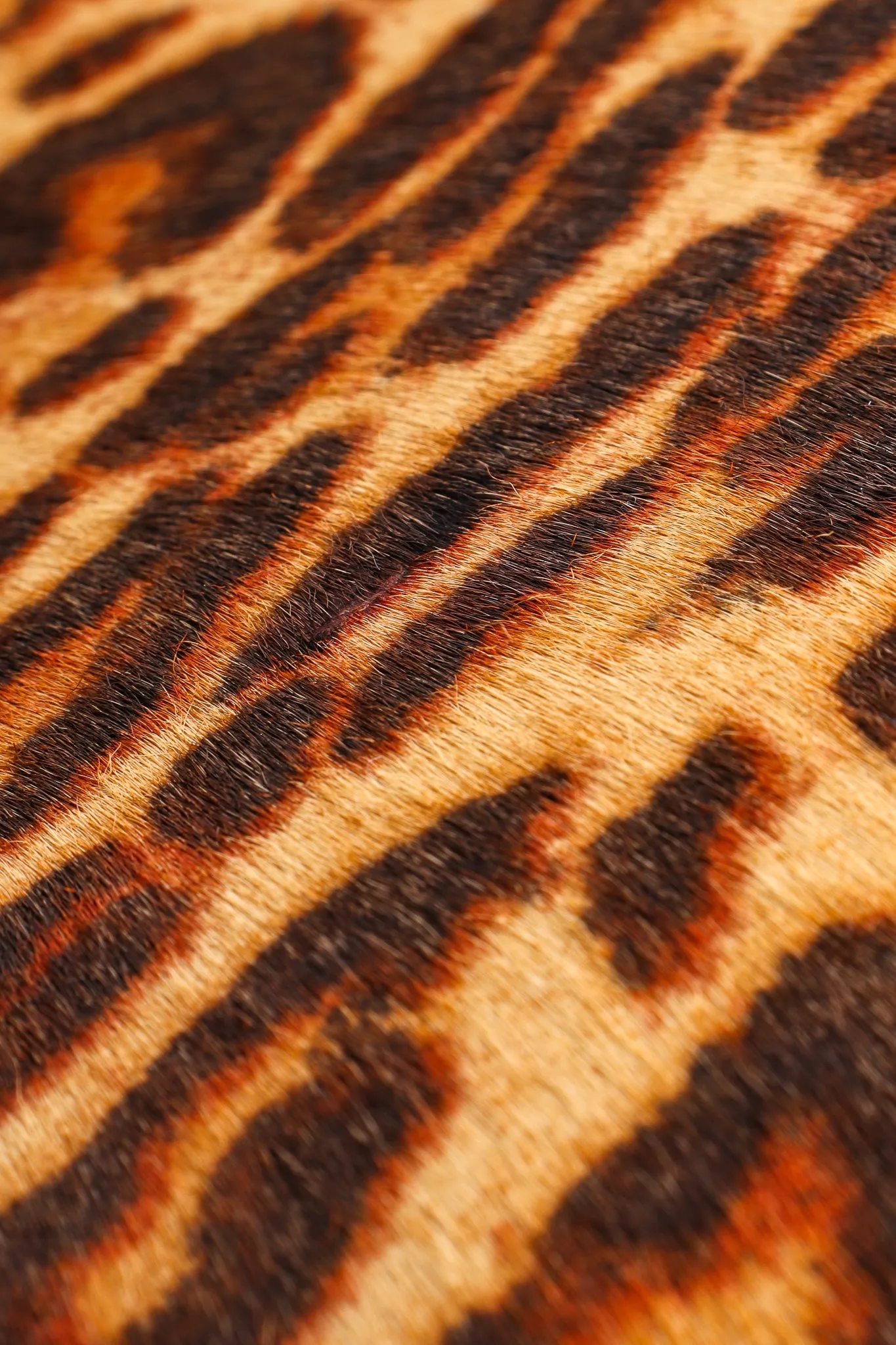 Leopard Pony Hair Frame Handbag