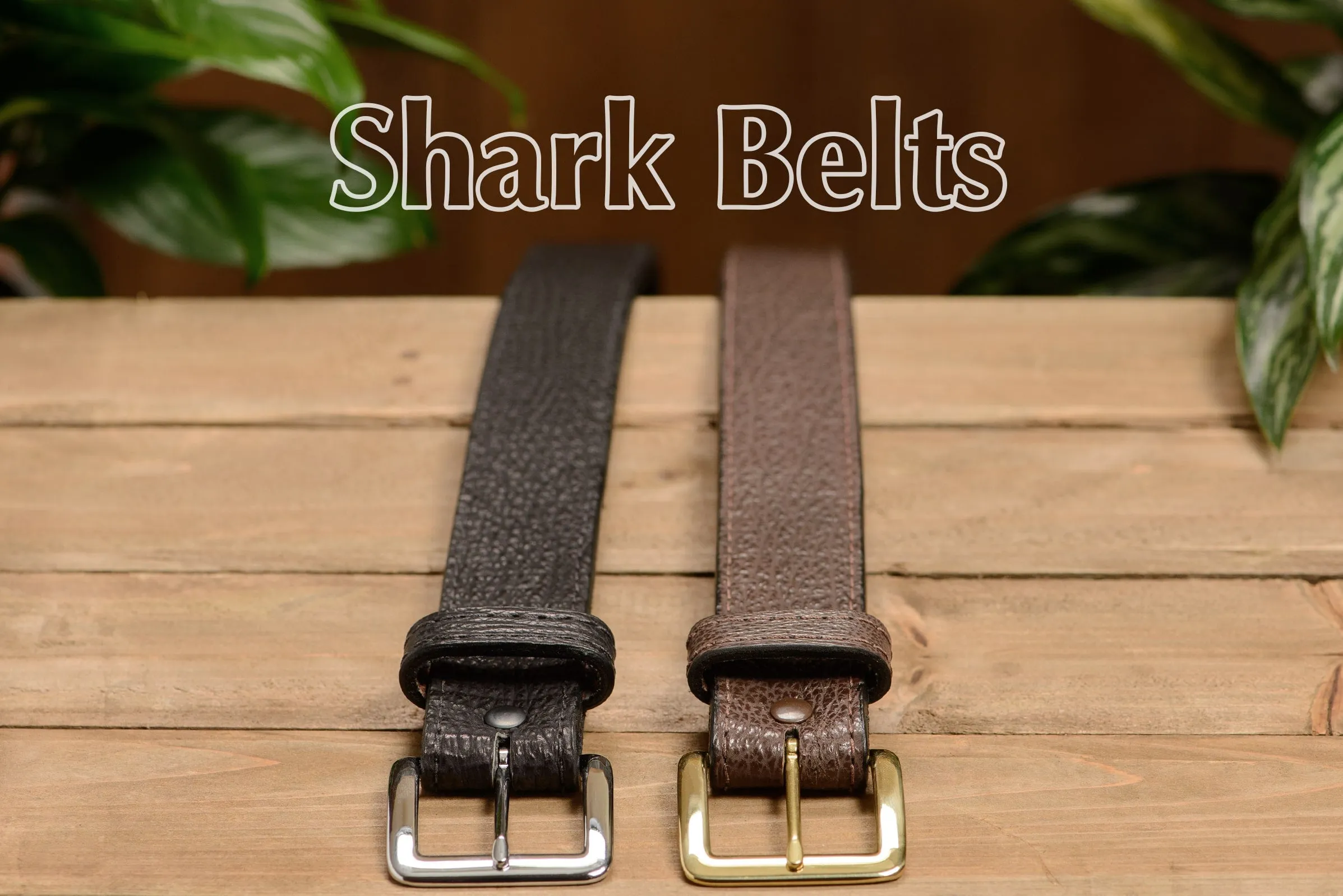 Men's Black Shark Leather Belt