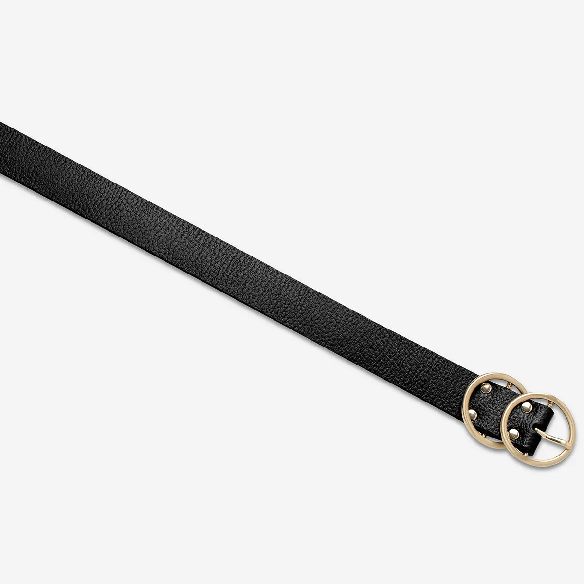 Mislaid Belt - Black / Gold