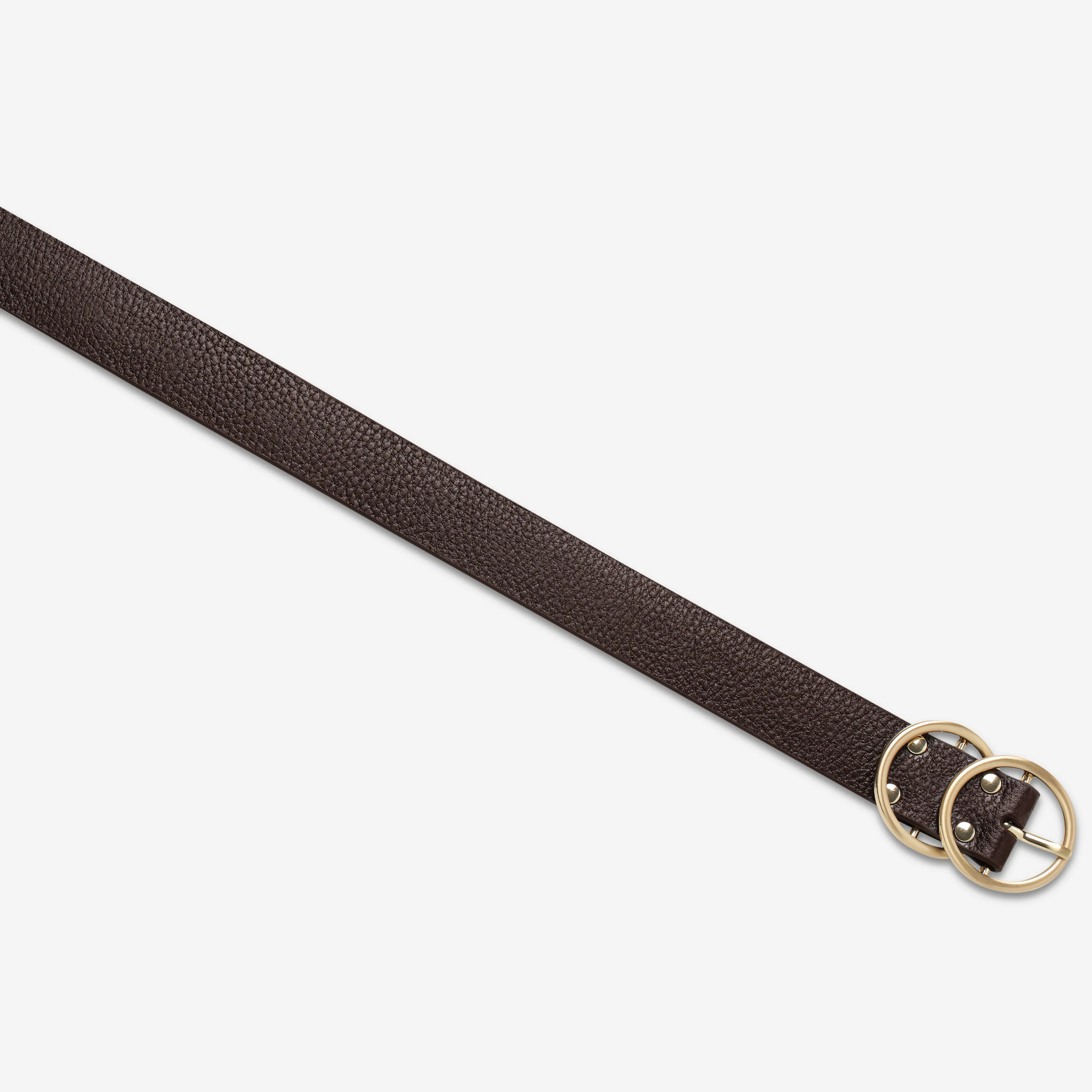 Mislaid Belt - Choc / Gold