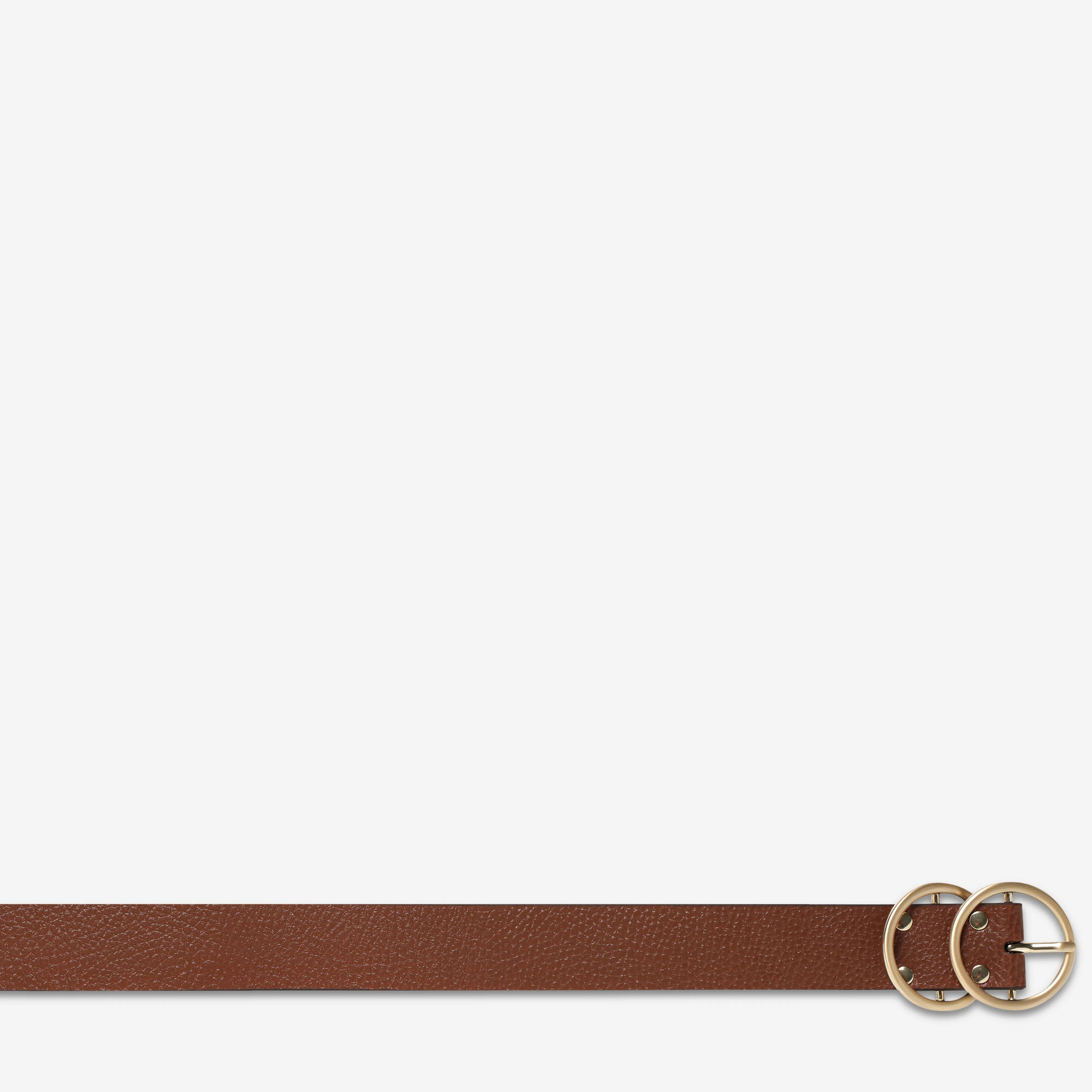 Mislaid Belt - Tan / Gold
