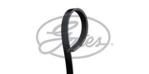 Multi-V Belt (4PK668) [Gates ]