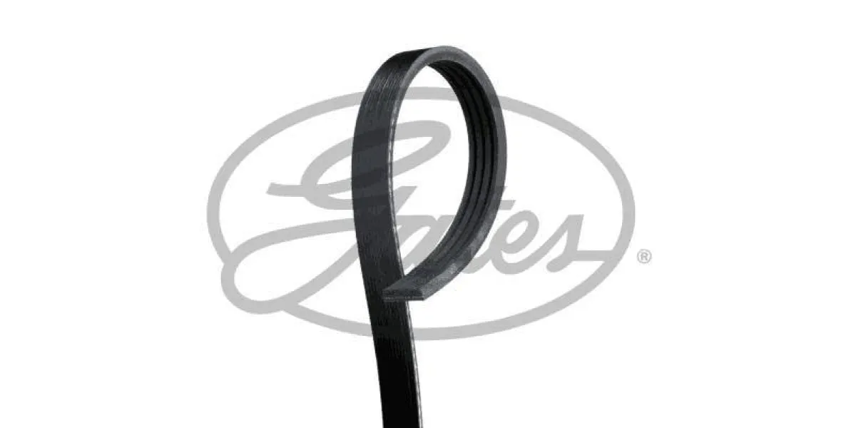 Multi-V Belt (4PK668) [Gates ]