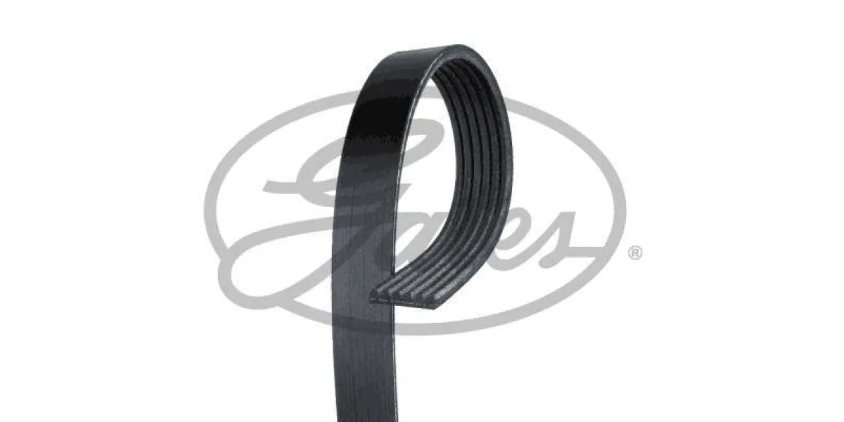 Multi-V Belt (6PK2603) [Gates ]