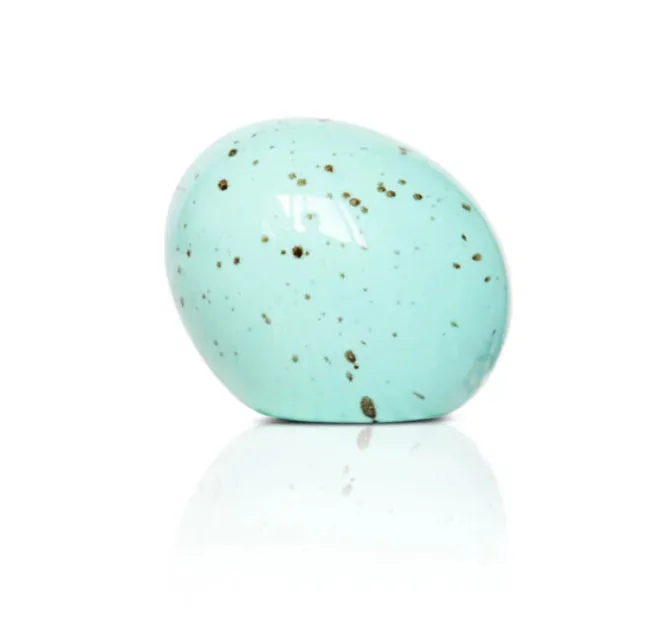NEW Nora Fleming Eggstra-ordinary Mini