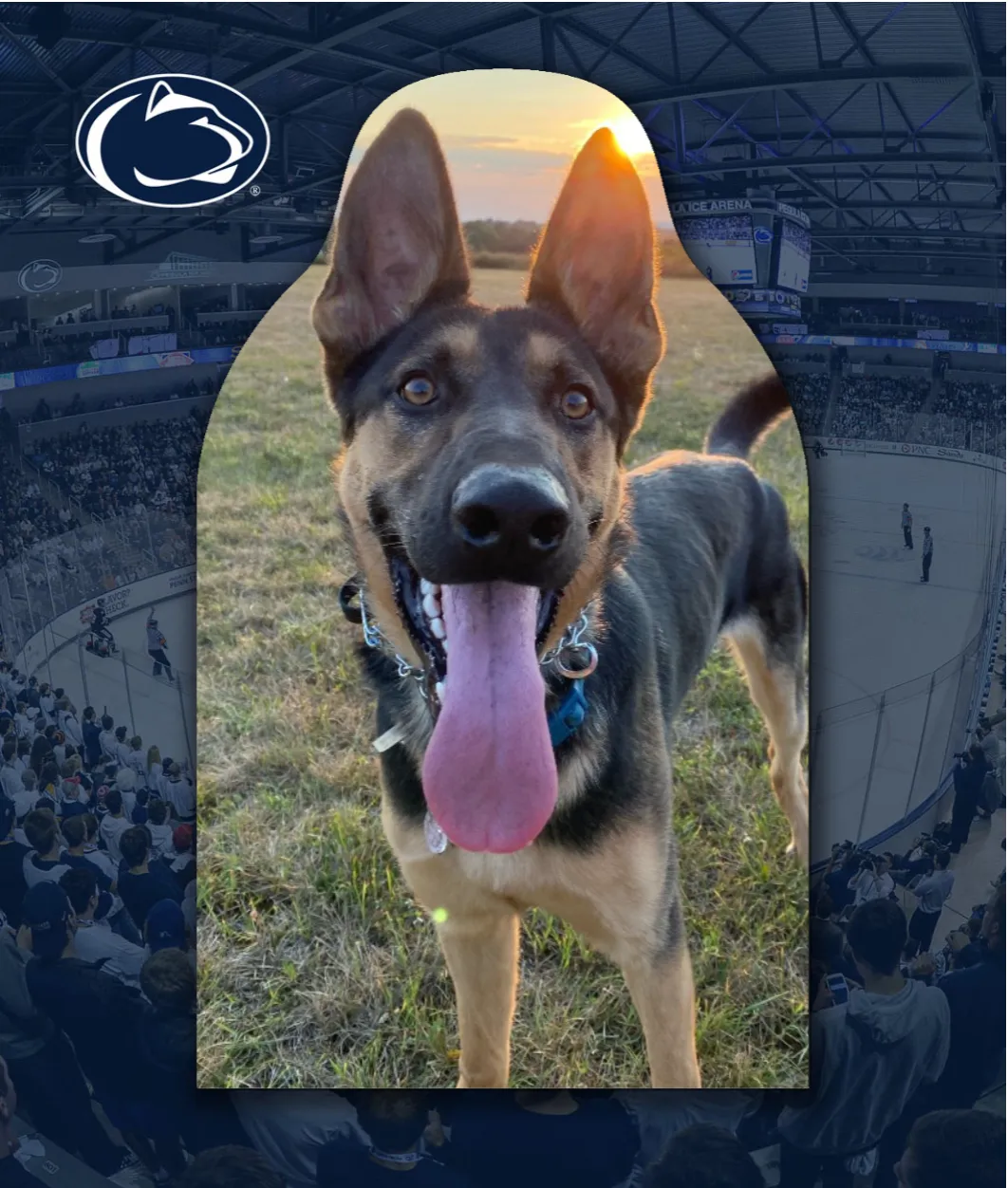 Penn State FanCutout Hockey