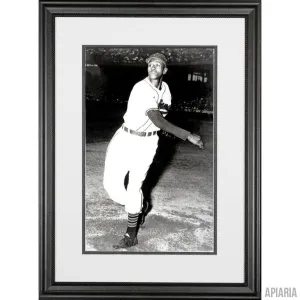 Satchel Paige