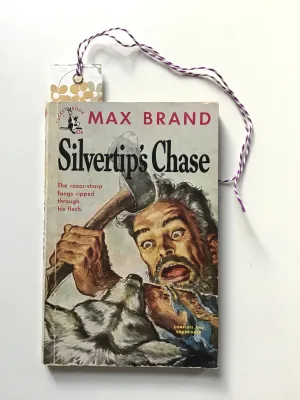 Silvertip's Chase by Max Brand