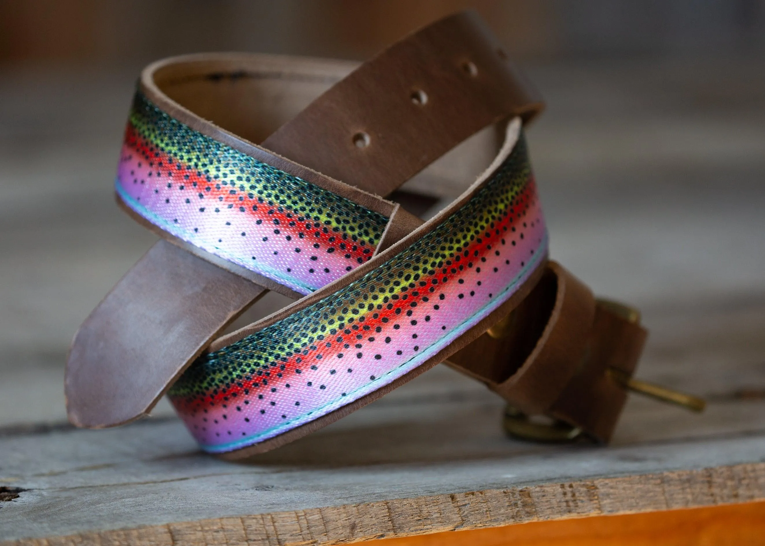 The Rainbow Belt