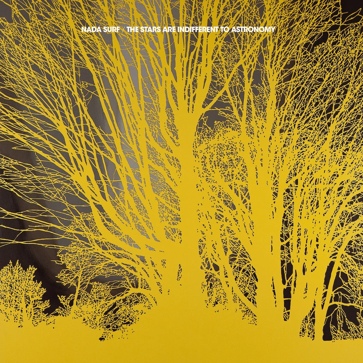The Stars Are Indifferent to Astronomy [CD]