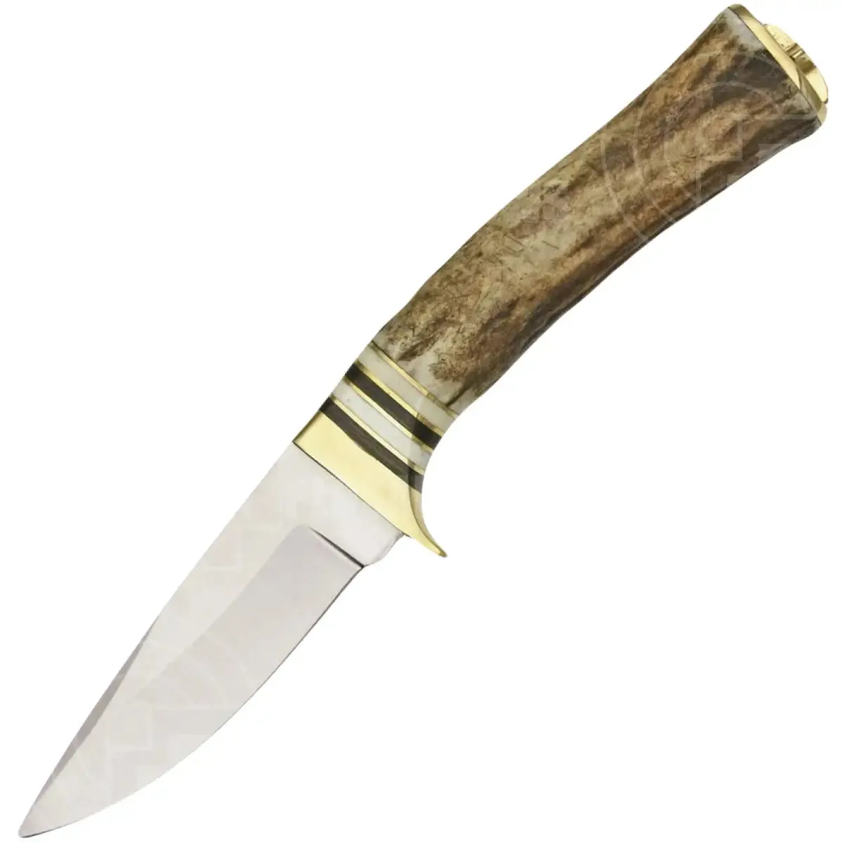 Whitetail Skinner Fixed Blade Knife