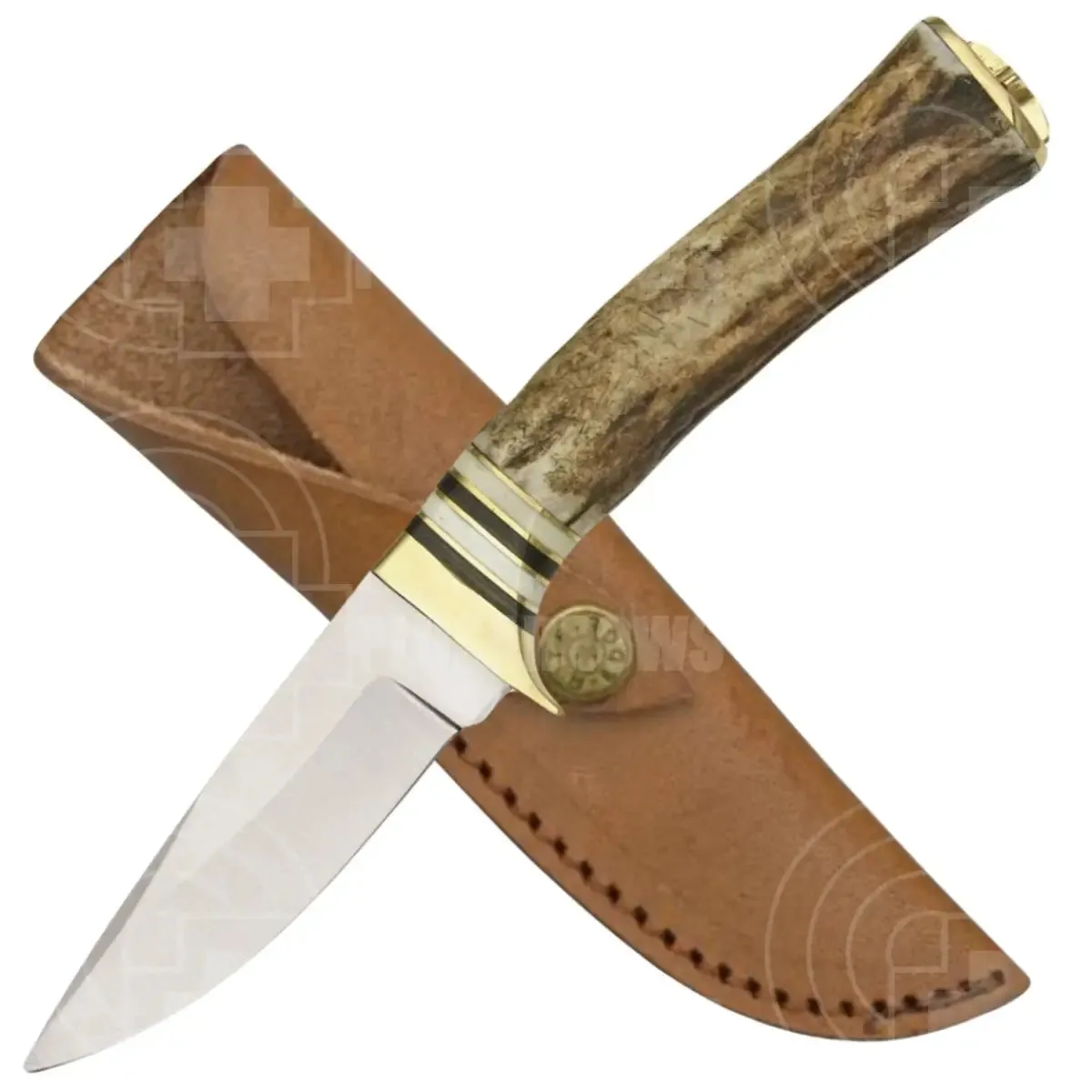Whitetail Skinner Fixed Blade Knife